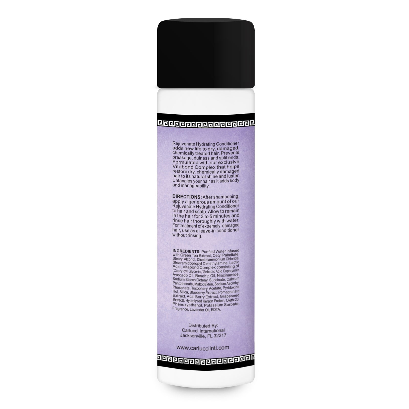 Rejuvenate Hydrating Conditioner, 10 fl. oz